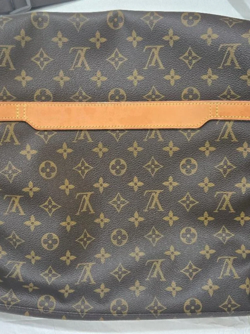 Louis Vuitton this laptop
